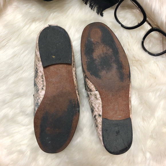 Sam Edelman | Shoes | Sam Edelman Snake Print Leather Loafers | Poshmark